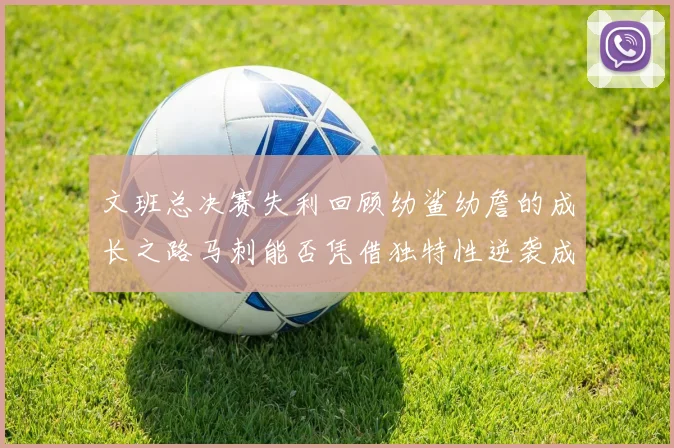 文班总决赛失利回顾幼鲨幼詹的成长之路马刺能否凭借独特性逆袭成功