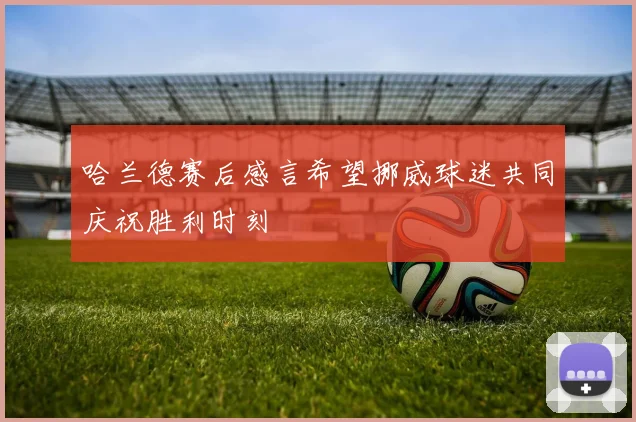 哈兰德赛后感言希望挪威球迷共同庆祝胜利时刻