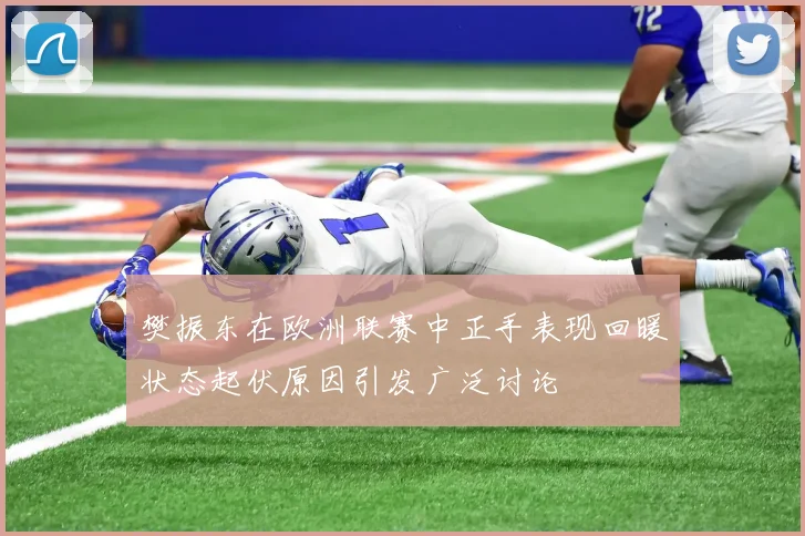 樊振东在欧洲联赛中正手表现回暖状态起伏原因引发广泛讨论